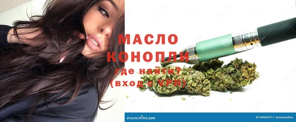 дмт Заводоуковск