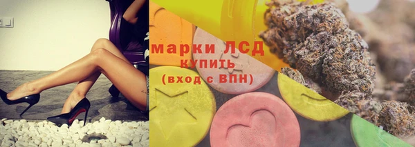 стаф Зеленодольск