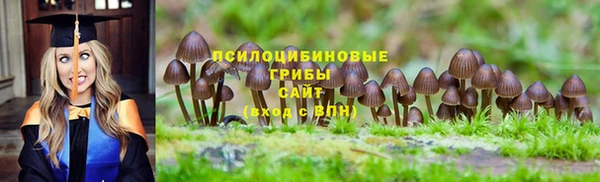 ПСИЛОЦИБИНОВЫЕ ГРИБЫ Зерноград