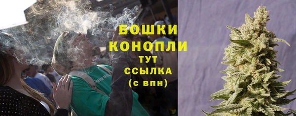 стаф Зеленодольск