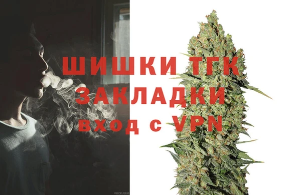 дмт Заводоуковск