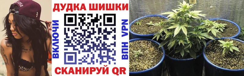Канабис MAZAR  Купить где  Качканар 